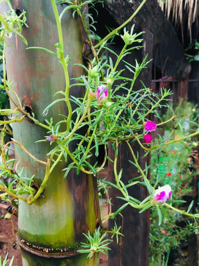 ロッジ Ratanakiri & Trekking *