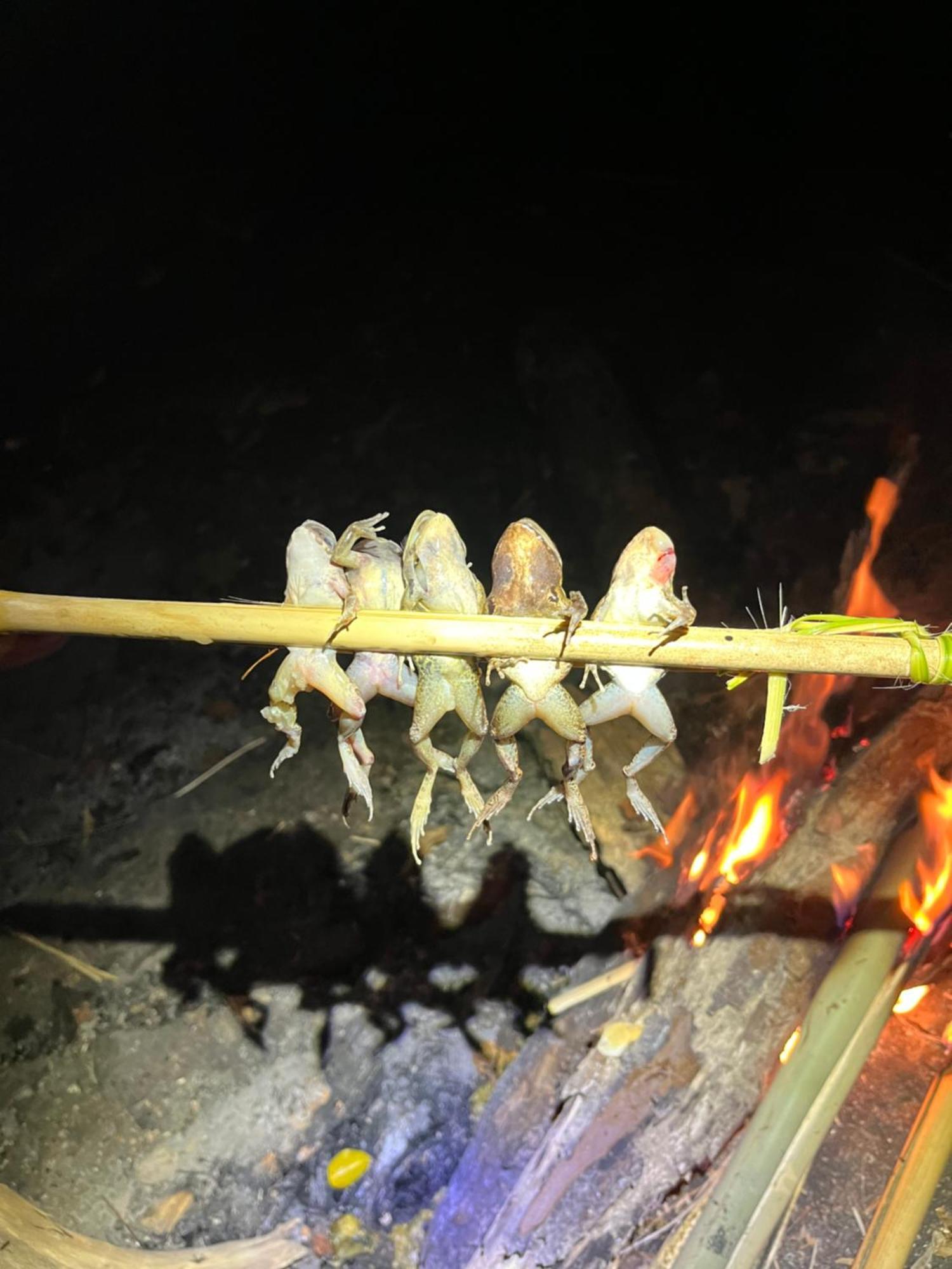 Ratanakiri & Trekking ロッジ *