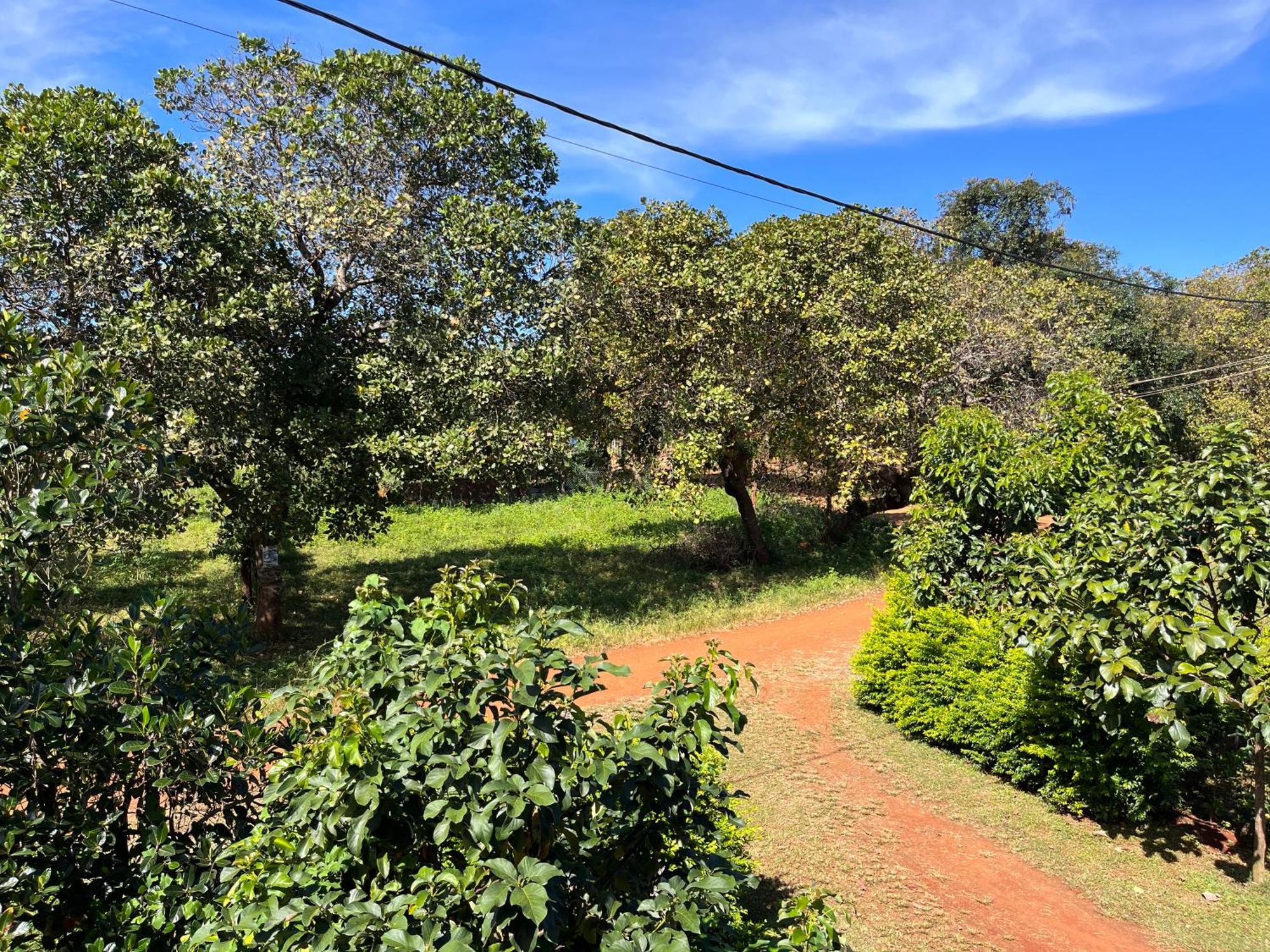 Ratanakiri & Trekking ロッジ *