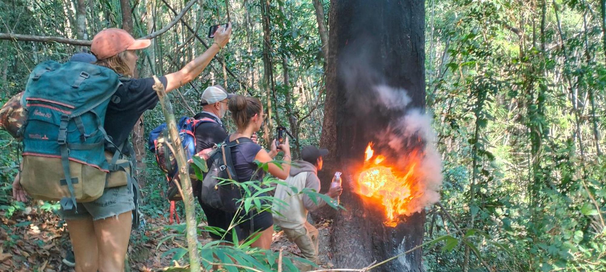 ロッジ Ratanakiri & Trekking
